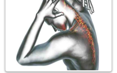 Pain in the neck and back and it’s message!