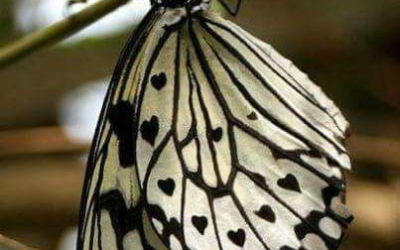 Ask questions.. seek deeper meanings and get clarity on the path you are on..